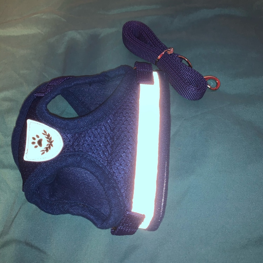 Brand new blue Dog Harness and leash!